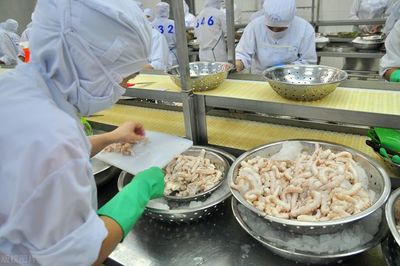 海產(chǎn)品加工企業(yè)如何從三個(gè)關(guān)鍵方面選擇污水處理站方案