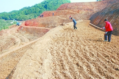 黨建引領房地產開發(fā) 斬斷窮根開富路