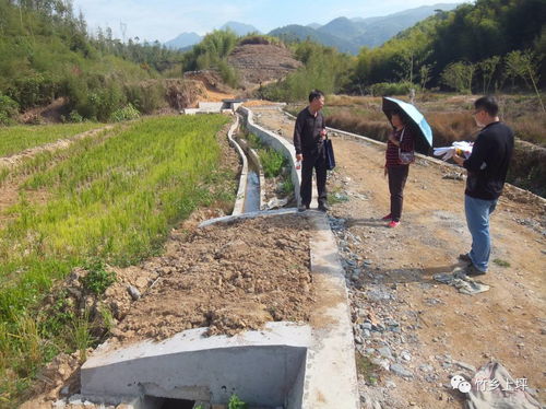 上坪鄉 土地整“活”，房產“開”新局——扎實推進土地整理與房地產開發協同發展